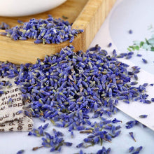 Muatkan imej ke dalam penonton Galeri, Premium Lavender Dried Flower Bud 特级薰衣草