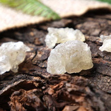 将图片加载到图库查看器,Premium Snow Nest 特级雪燕, 美颜