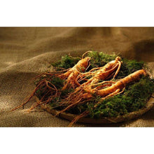 将图片加载到图库查看器,American Ginseng Root 美国泡参须