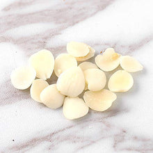 将图片加载到图库查看器,Lily Bulb Sulphur Free 无硫百合