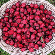 将图片加载到图库查看器,DIY Healthy Flower Tea 养生花茶原料 自由搭配