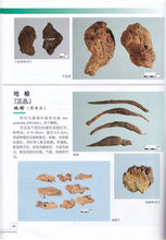 将图片加载到图库查看器,4 Pcs The raditional Chinese medicine identification Atlas illustration Book