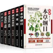 将图片加载到图库查看器,6 Pcs/set Source of traditional Chinese medicine books Yellow Emperor's Internal Classic Compendium of Materia Medica