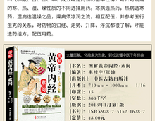 将图片加载到图库查看器,6 Pcs/set Source of traditional Chinese medicine books Yellow Emperor's Internal Classic Compendium of Materia Medica