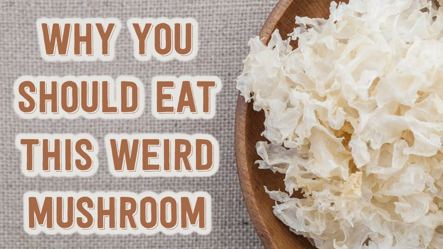 5 Benefits You Didn't Know About Snow Fungus