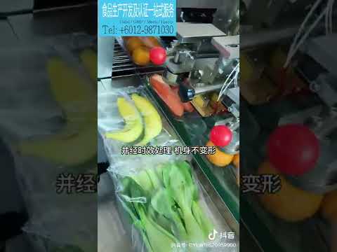 Packaging machine D- Vegetable Packaging 全自动蔬果包装机