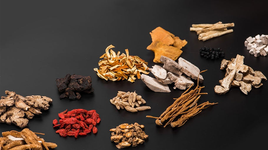 U.S. experts say traditional Chinese medicine shows promise in treating COVID-19