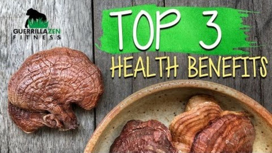 TOP 3 Health Benefits of Reishi Mushroom