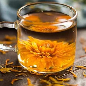 Premium Calendula 特级 金盏花