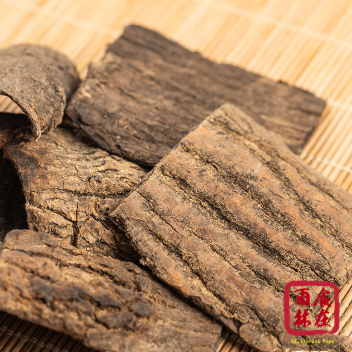 Eucommia Bark 杜仲