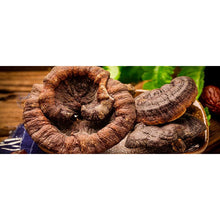 Load image into Gallery viewer, Premium Ling zhi /Reishi mushroom / Ganoderma  特级灵芝片
