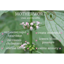 Load image into Gallery viewer, Premium Motherwort Women Healthcare tea 特级益母草女性保健茶
