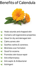 Load image into Gallery viewer, Premium Calendula 特级 金盏花
