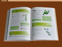 将图片加载到图库查看器，Compendium of Materia Medica Li Shizhen Complete Works Coloring Book of Colors Edition Chinese Medicine Books
