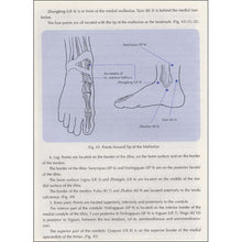 Muatkan imej ke dalam penonton Galeri, The Way to Locate Acupoints Chinese Medicine Acupuncture Textbook for Foreigners English Version Hardcover
