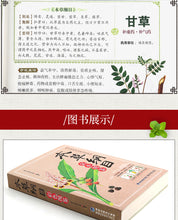 Muatkan imej ke dalam penonton Galeri, Compendium of Materia Medica Li Shizhen Complete Works Colors Edition Chinese Traditional Medicine Book in Chinese
