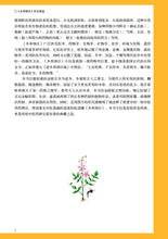 Muatkan imej ke dalam penonton Galeri, Compendium of Materia Medica Li Shizhen Complete Works Coloring Book of Colors Edition Chinese Medicine Books
