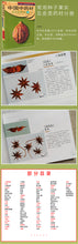 Load image into Gallery viewer, 4 Pcs The raditional Chinese medicine identification Atlas illustration Book
