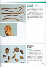 Load image into Gallery viewer, 4 Pcs The raditional Chinese medicine identification Atlas illustration Book
