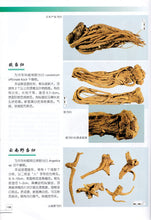 将图片加载到图库查看器，4 Pcs The raditional Chinese medicine identification Atlas illustration Book
