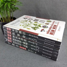 Load image into Gallery viewer, 6 Pcs/set Source of traditional Chinese medicine books Yellow Emperor&#39;s Internal Classic Compendium of Materia Medica
