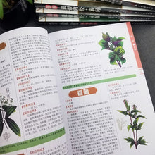 Load image into Gallery viewer, 6 Pcs/set Source of traditional Chinese medicine books Yellow Emperor&#39;s Internal Classic Compendium of Materia Medica
