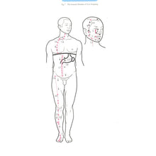 Load image into Gallery viewer, Chinese Acupuncture and Moxibustion Traditional Chinese Medicine Books in English
