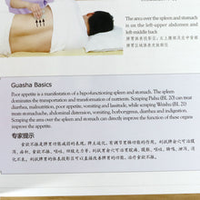 Muatkan imej ke dalam penonton Galeri, Bilingual Valuable Used An illustrated guide to guasha therapy by Zhang Xiu Qin ( English &amp; Chinese ) Book Traditional Medicine
