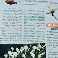 将图片加载到图库查看器，2 Books Chinese Traditional Medicine Book in Chinese And English Zhong Cao Yao with Pictures Libros
